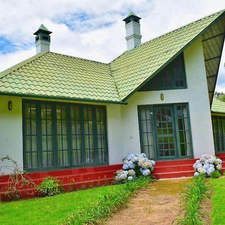 Camp Noel Otel Munnar Dış mekan fotoğraf